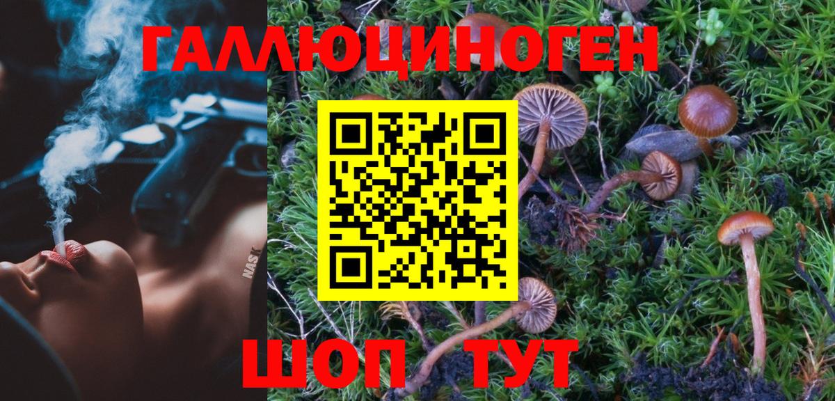 Галлюциногенные грибы MAGIC MUSHROOMS Корсаков