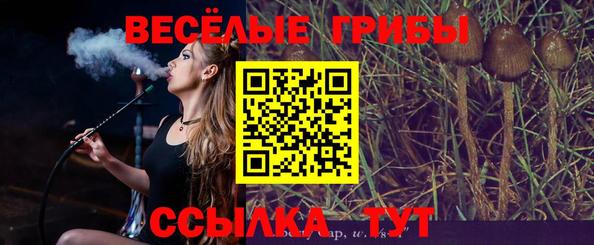 Галлюциногенные грибы прущие грибы  Галлюциногенные грибы ЛСД  Вход с VPN  Корсаков 