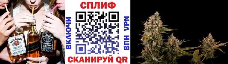 Конопля планчик  закладка  Корсаков 