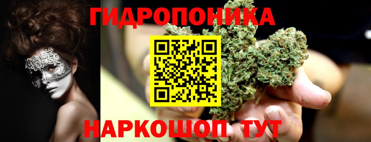 Бошки Шишки MAZAR  Марихуана планчик  Корсаков  Марихуана SATIVA & INDICA  Вход с VPN  Бошки Шишки White Widow 